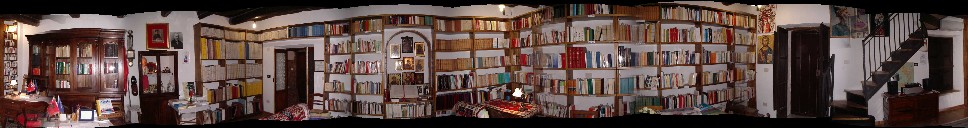 Visita virtuale della biblioteca